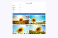 ym8981 Pollinations AI文生图html小程序
