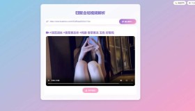 ym8974 二次元聚合短视频解析去水印系统源码
