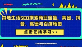 ZX5482 本地生活SEO搜索商业流量课，低成本搞流量的手段（7节视频课）