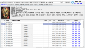 GJ0263 闪豆视频下载器 v4.0 多平台视频批量下载器