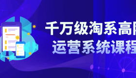 ZX0061 千万级淘系高阶运营系统课程