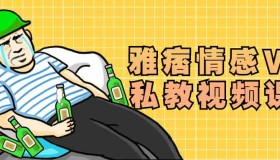 ZX0067 雅痞情感VIP私教视频课程