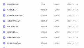 ZX0058 网红17种口味凤爪配方教程