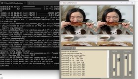 GJ0351 视频硬字幕去除器 v1.1.0