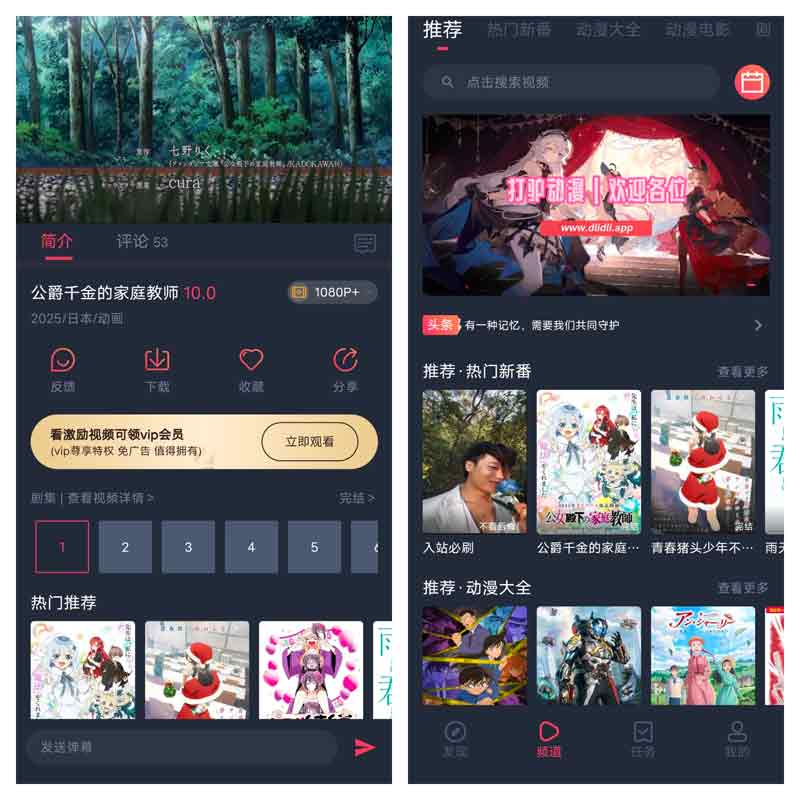 打驴动漫最新去广告纯净版本