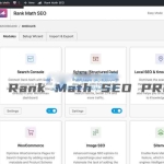 WordPress SEO插件 Rank Math Pro v3.0.106 破解版下载