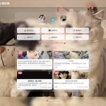 小奈猫狗情侣博客 v1.0.0 情侣专属博客系统 免费源码下载