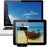 如何选择最适合你的 WordPress 主题：一份从免费新手建站到建站专家的避坑指南