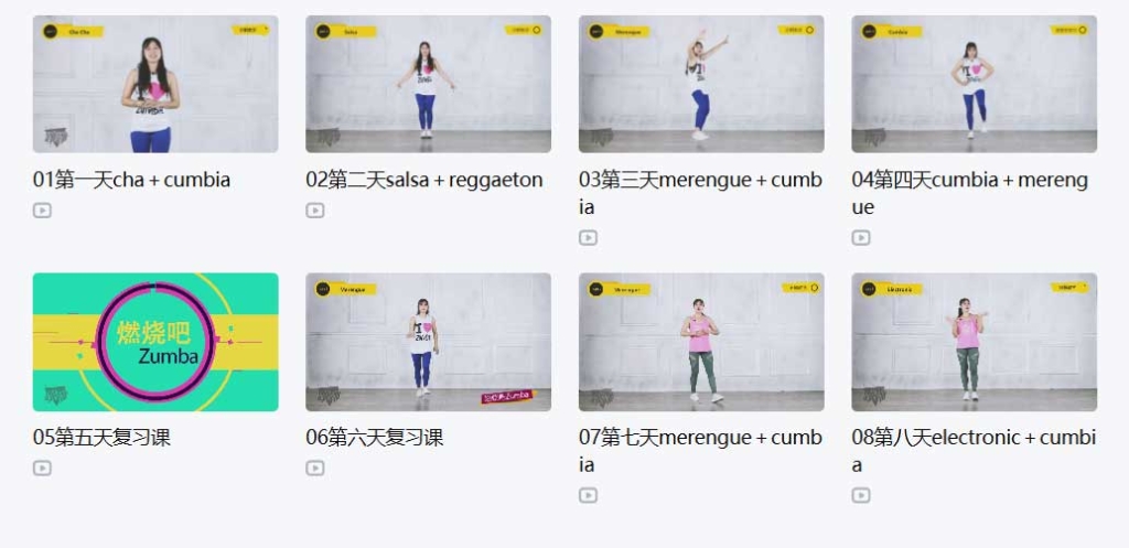 中文版燃脂尊巴舞 23 课时全套跟练教学