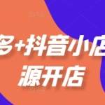 电商最新无货源玩法 拼多多 + 抖店开店运营 选品 / 投放 / 活动 / 爆单案例全覆盖