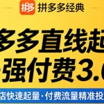 拼多多直线起店 + 强付费技术3.0（2026 最新实操版）