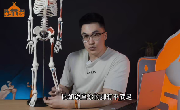 做自己的康复师之骨盆、脊柱系统